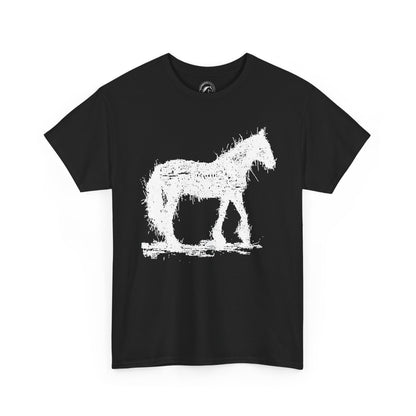 Paard
