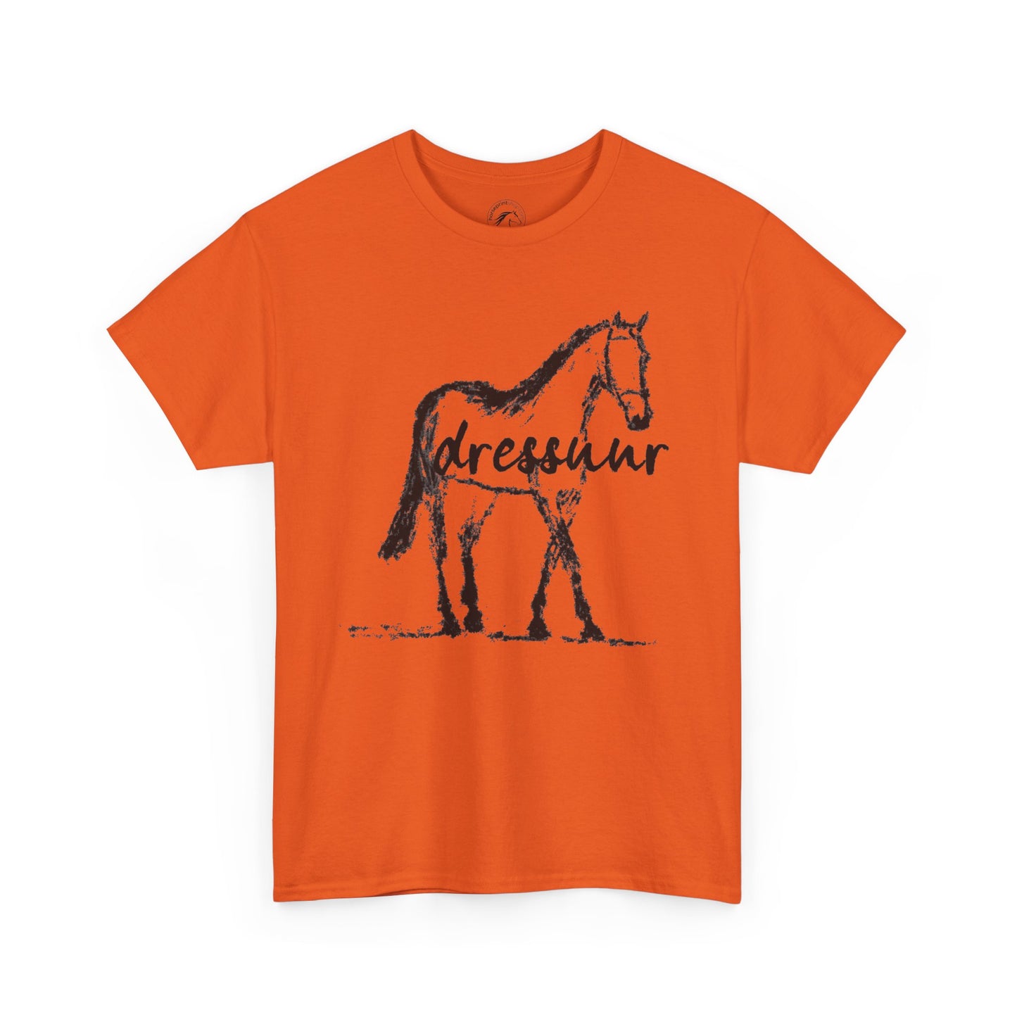 Dressuur V2