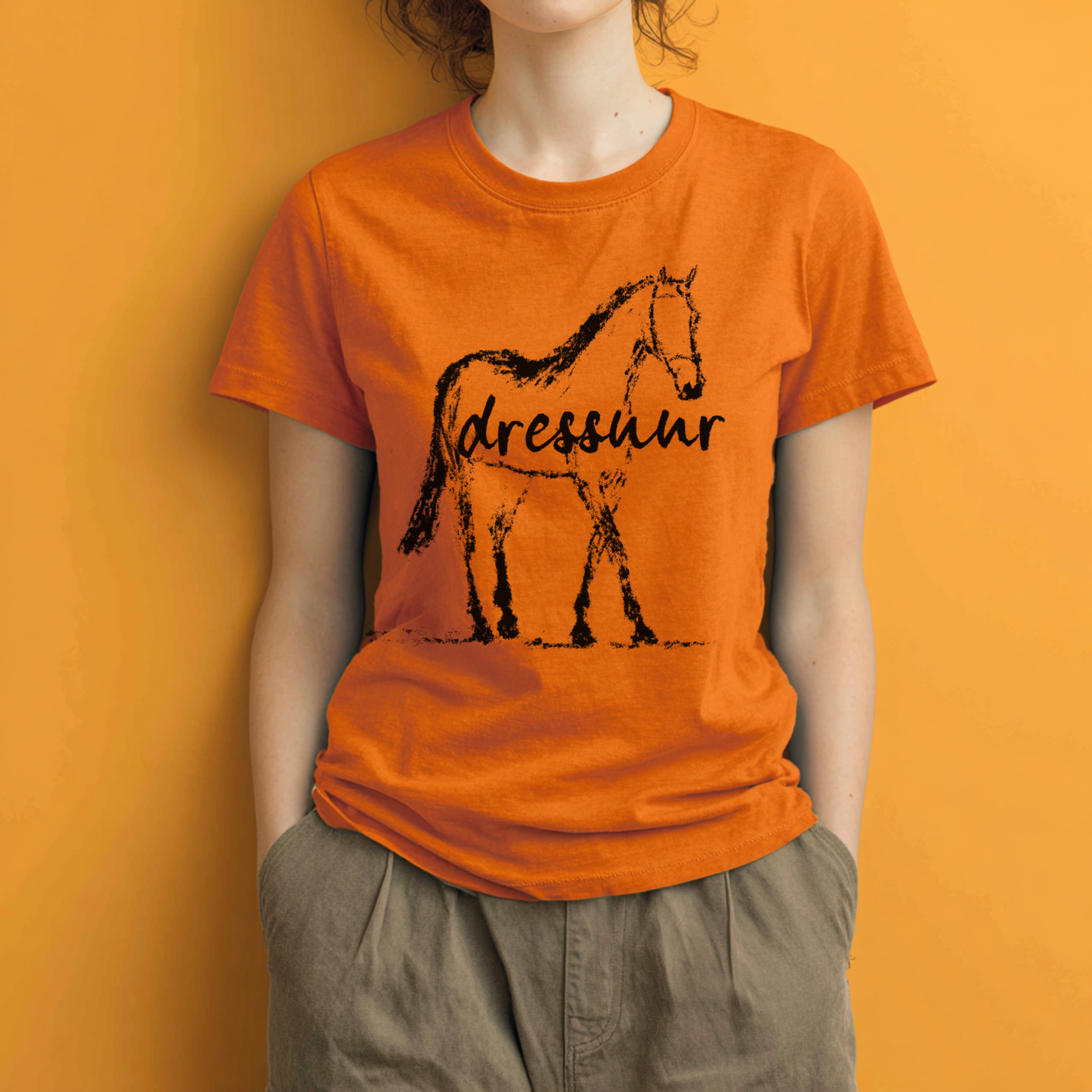Dressuur V2